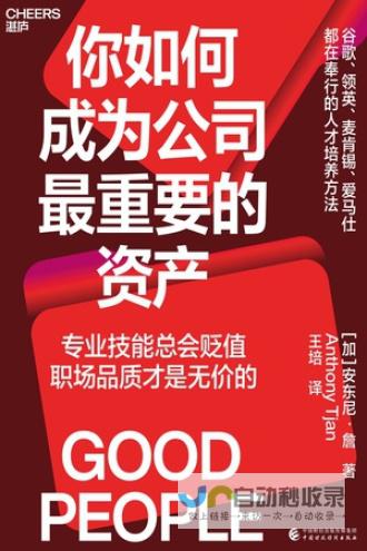 打造成功的在线平台：深入解析网站建设策略与实践案例
